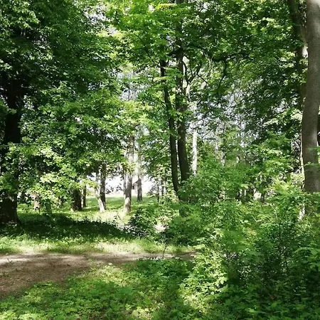 Gasthof Dwor *